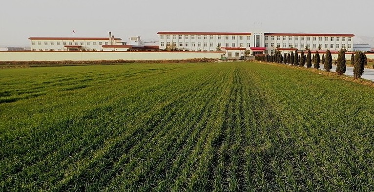 甘肃军事基地电子围栏